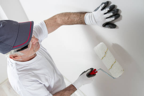 Mold Odor Removal Services in Staples, MN