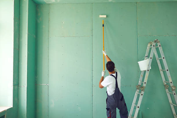 Best Black Mold Removal  in Staples, MN