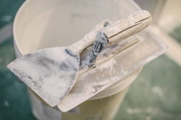 Best Mold Remediation for Healthcare Facilities  in Staples, MN